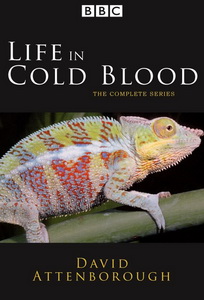 BBC: Жизнь с холодной кровью (2008)