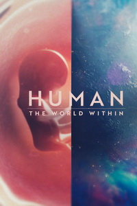 Человеческое тело: мир внутри (2021)