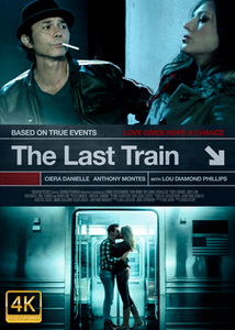 Последний поезд (2017) постер