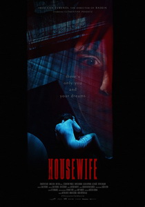 Домохозяйка (2017) постер