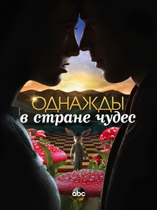 Однажды в стране чудес (2013) постер