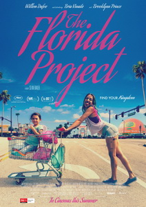 Проект Флорида (2017)